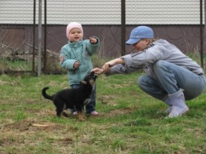 Как отучить щенка кусаться от dogrf.ru
